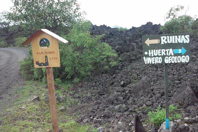 Paricutin Volcano Tour (Morelia) - Customer Testimonials