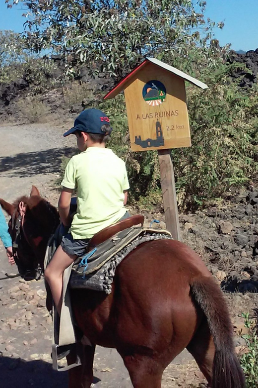 Paricutin Volcano Tour - Key Points