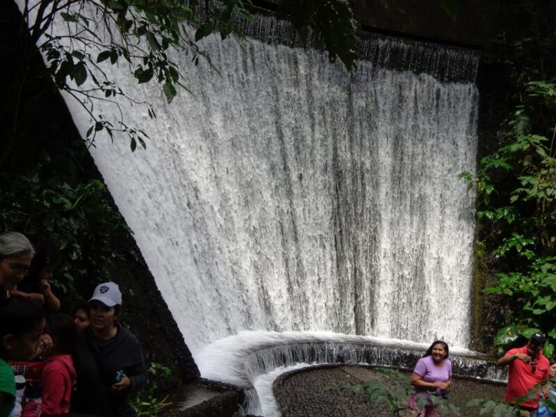 Paricutin Volcano Tour - Participant Restrictions