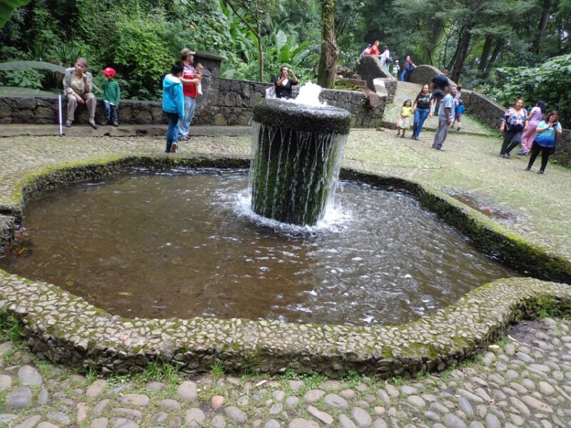 Paricutin Volcano Tour - Preparation and Important Information
