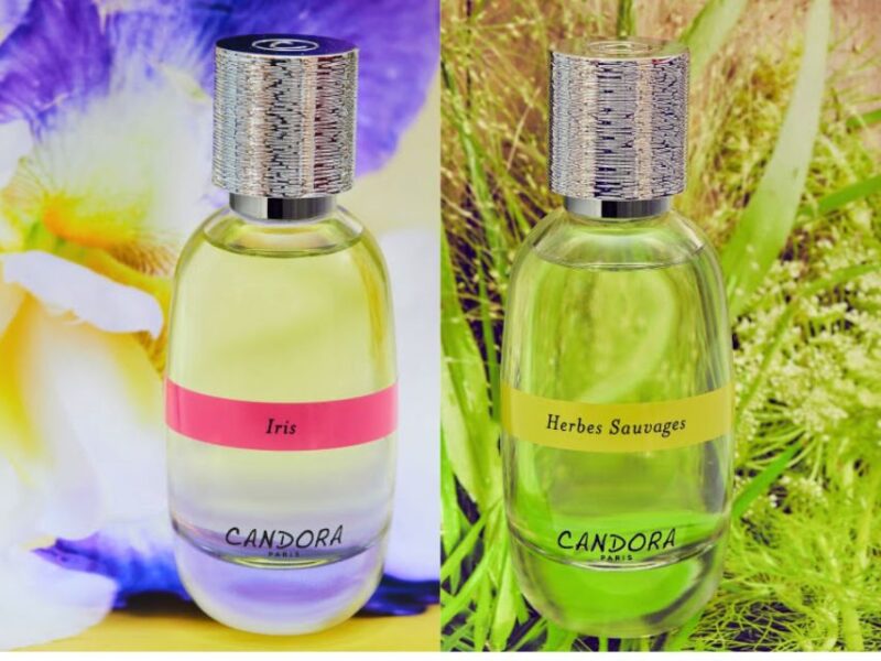 Paris: 2-Hour Perfume Creation Workshop - Key Points