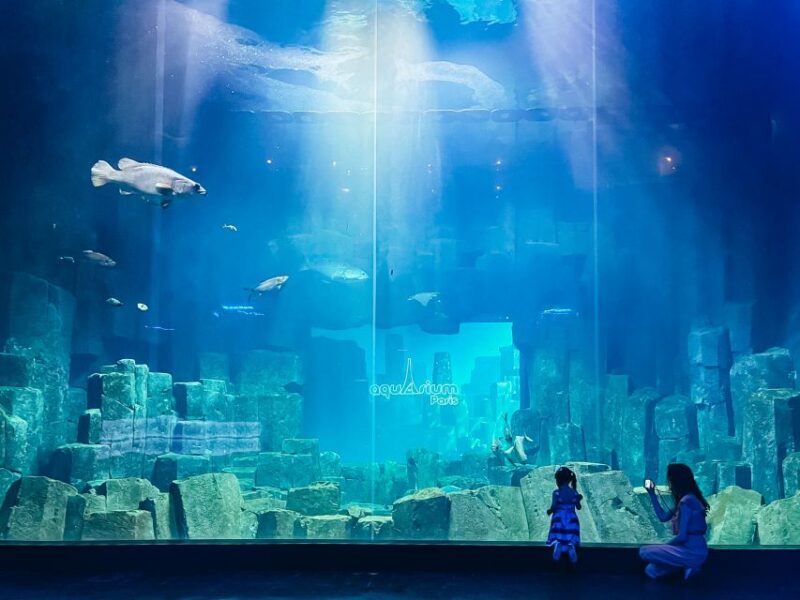 Paris: Aquarium De Paris Entrance Ticket - Interactive Touch Pool Experience