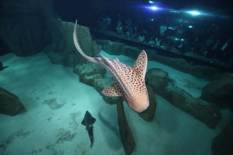 Paris: Aquarium De Paris Entrance Ticket - Convenient Location and Access