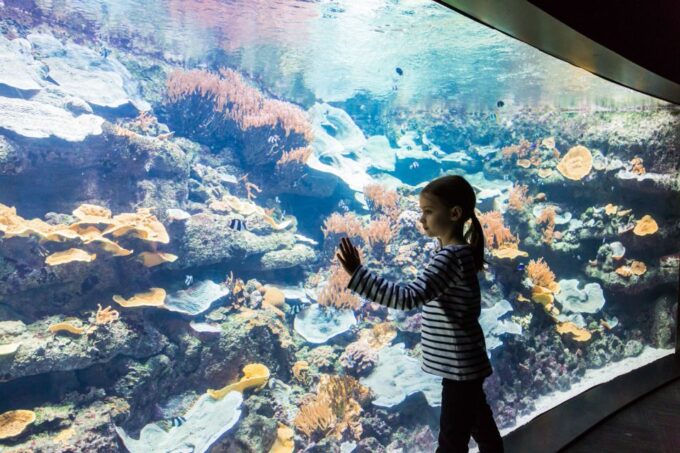 Paris: Aquarium De Paris Entrance Ticket - Cancellation and Payment Policies