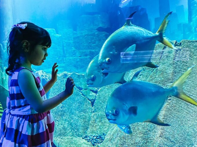 Paris: Aquarium De Paris Entrance Ticket - Frequently Asked Questions