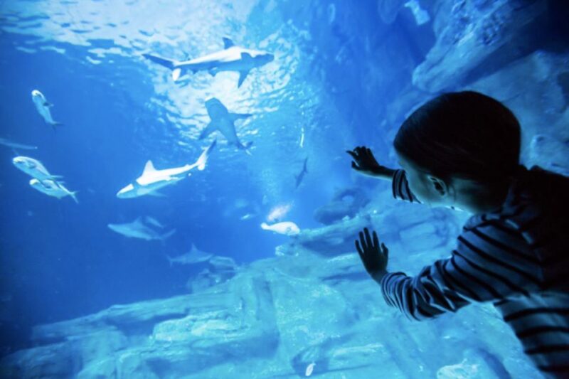 Paris: Aquarium Entry Ticket & Self-Guided Eiffel Tower Tour - Key Points