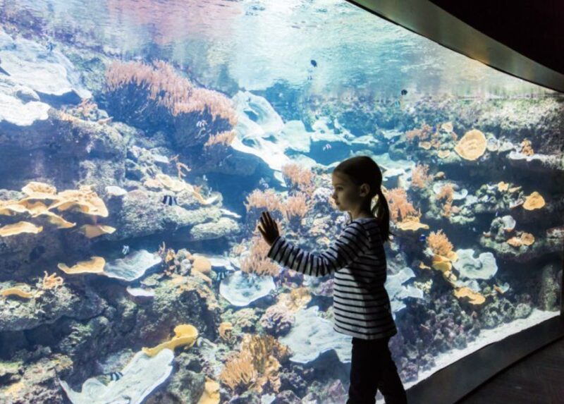 Paris: Aquarium Entry Ticket & Self-Guided Eiffel Tower Tour - Trocadéro Gardens Location