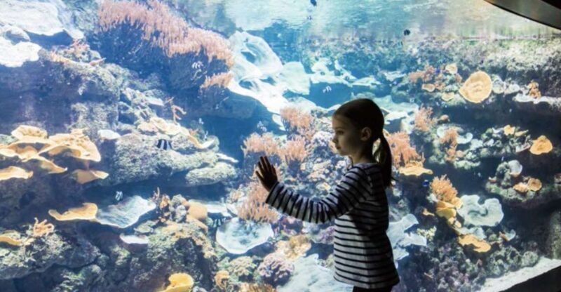 Paris: Aquarium Entry Ticket & Self-Guided Eiffel Tower Tour - Capturing Iconic Views