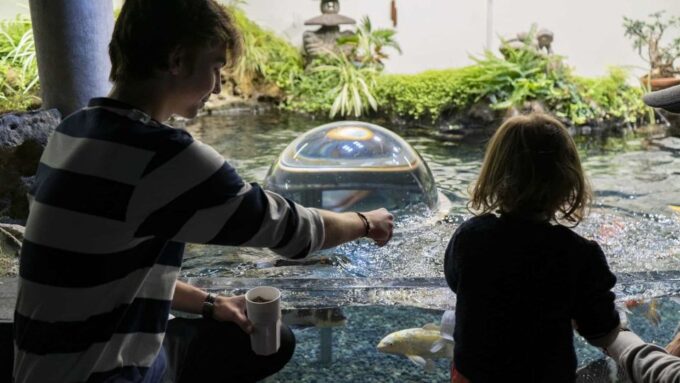Paris: Aquarium Entry Ticket & Self-Guided Eiffel Tower Tour - Practical Information
