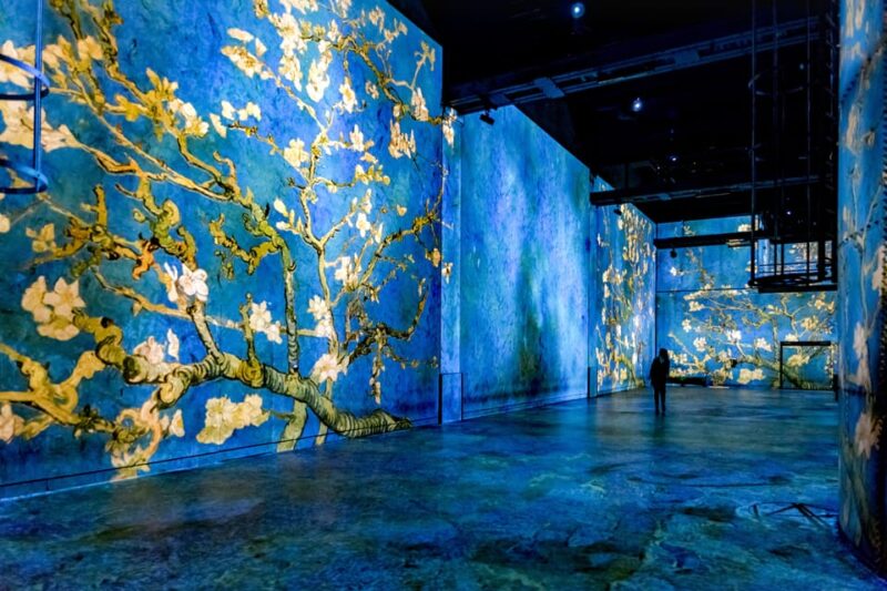 Paris: Atelier Des Lumières Van Gogh Exhibition Entry Ticket - Accessibility and Restrictions