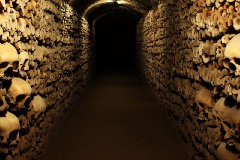 Paris: Catacombs Entry Ticket, Audio Guide, and River Cruise - Key Points
