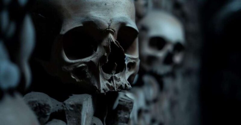 Paris: Catacombs Entry Ticket, Audio Guide, and River Cruise - Catacombs Stroll Past Graves