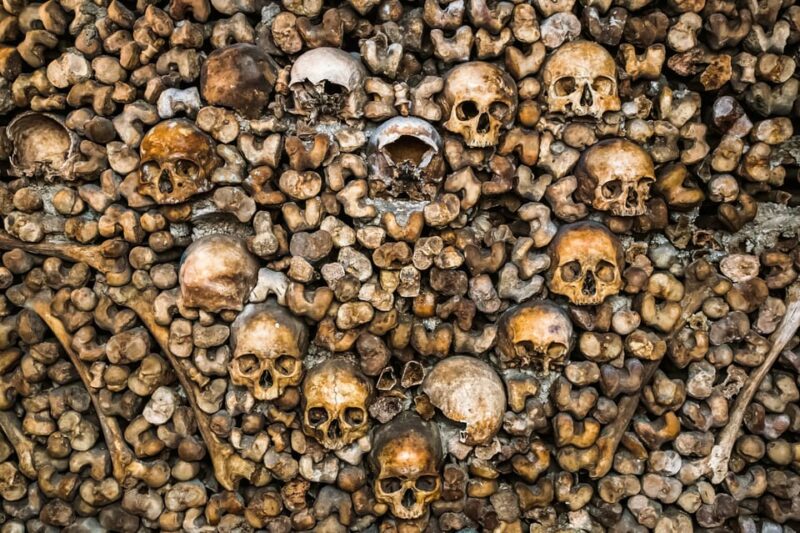 Paris: Catacombs Guided Tour - Inclusions and Exclusions