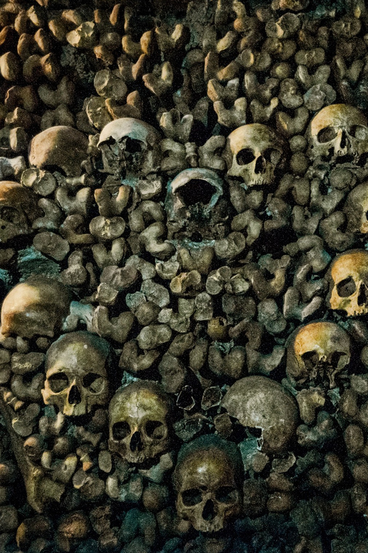 Paris: Catacombs Guided Tour - Customer Reviews and Ratings