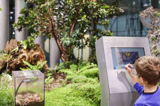 Paris: City of Science and Industry Museum Entry Ticket - Daily Entertainment and Activities
