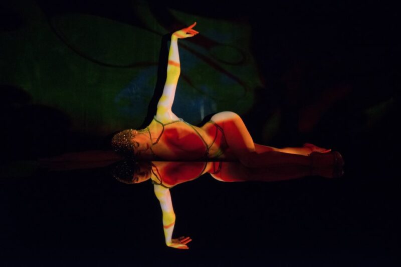 Paris: Dinner at Ginger Restaurant & Show at Crazy Horse - Main Courses