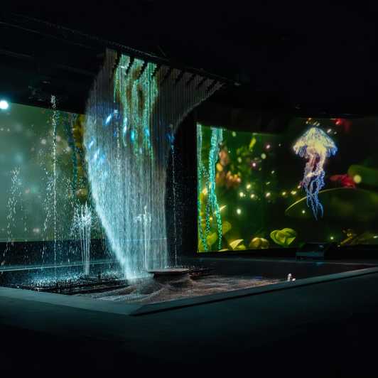 Paris: Entry Ticket to The Seasons Games Show at the Lido - Experience Overview