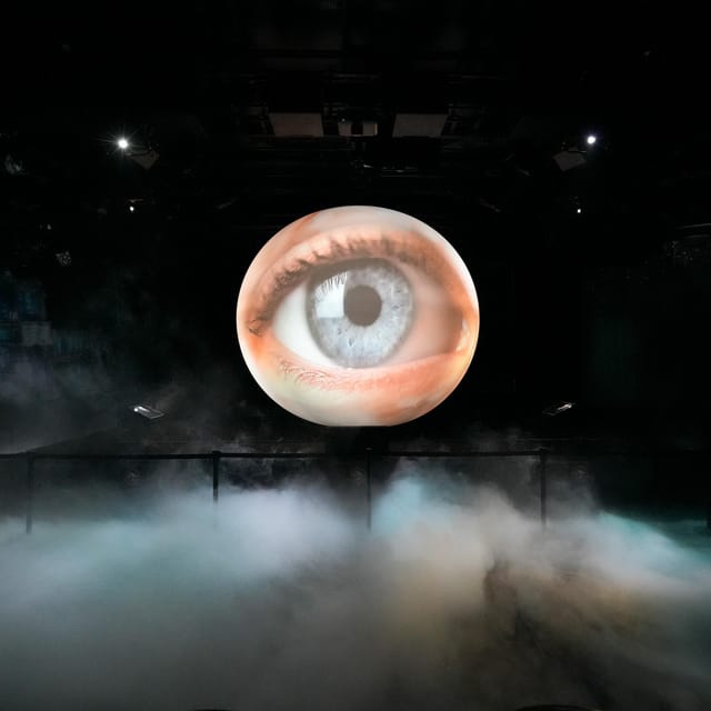 Paris: Entry Ticket to The Seasons Games Show at the Lido - Availability and Reservations