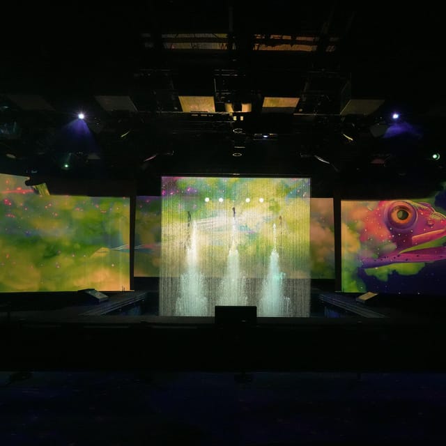 Paris: Entry Ticket to The Seasons Games Show at the Lido - Accessibility and Language Options