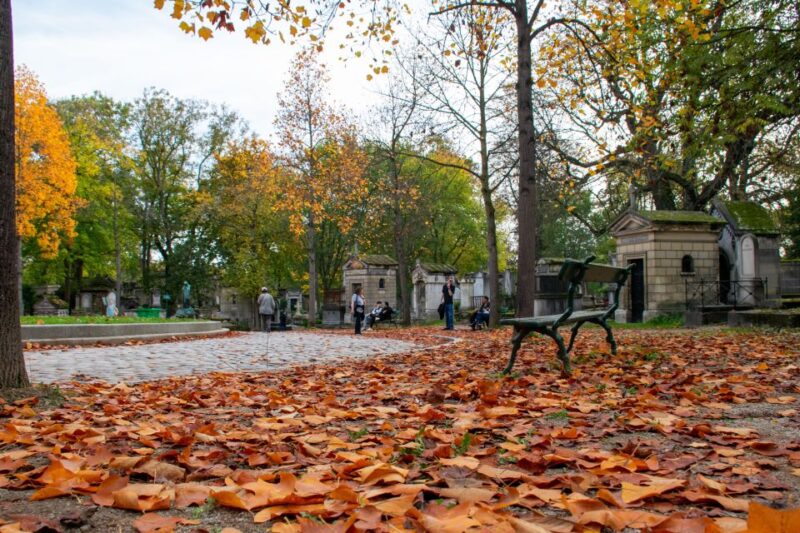 Paris: Full-Day Custom Tour With Local Guide - Immersive Cultural Experience