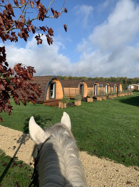 Paris : Horse Riding Camp With English Lessons in Senonches - Just The Basics