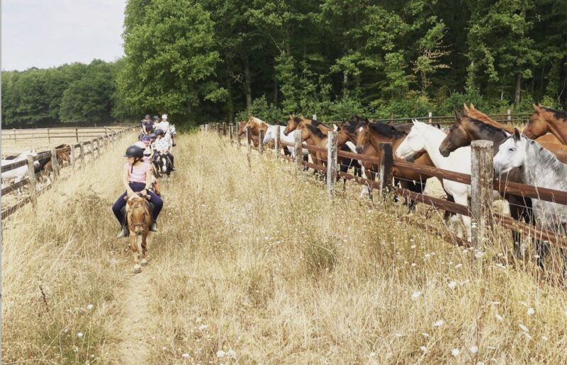 Paris : Horse Riding Camp With English Lessons in Senonches - Recommended Items to Bring