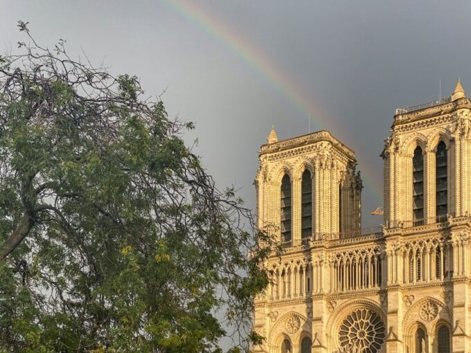 Paris: Île De La Cité and Notre Dame Walking Tour With Crypt - Frequently Asked Questions