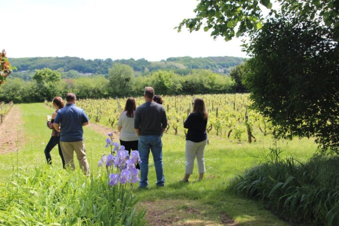 Paris: Loire Valley Chambord Castle, Wine Tasting & Lunch - Wine Tasting Experience