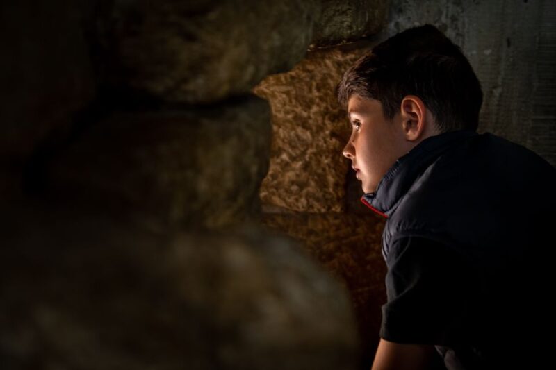 Paris: Louvre Private Family Tour for Kids With Entry Ticket - Permanent Collection and Exhibitions