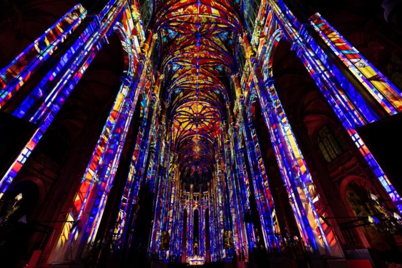 Paris: Luminiscence Immersive Sound and Light Show Ticket - Accessibility