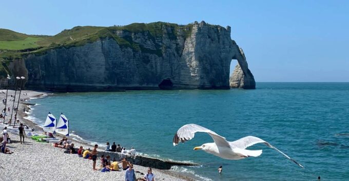 Paris: Normandy Rouen, Honfleur and Etretat Small-Group Tour - Important Information