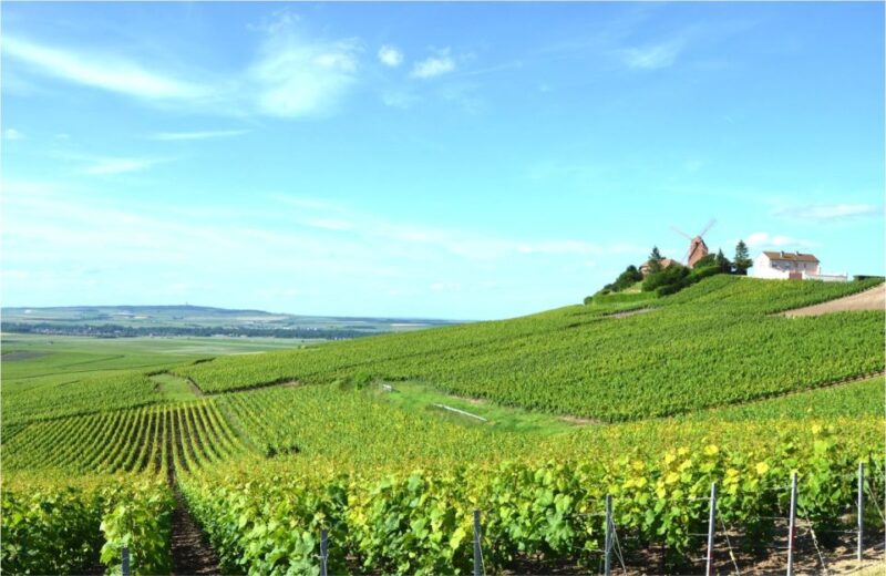Paris: Private Day Trip to Champagne With 8 Tastings & Lunch - Highlights and Scenic Views