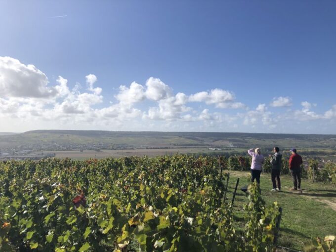 Paris: Private Day Trip to Champagne With 8 Tastings & Lunch - Family-Run Wineries