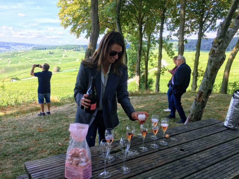 Paris: Private Day Trip to Champagne With 8 Tastings & Lunch - Just The Basics
