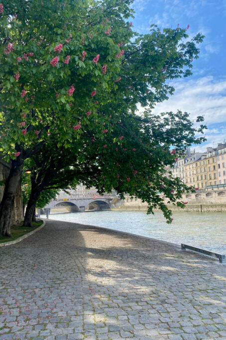 Paris: Private Early Morning City Walking Tour - Experiencing Morning Rituals