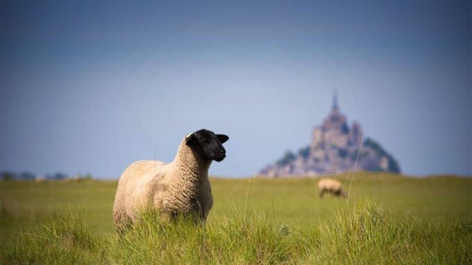 Paris: Private Excursion Paris - Mont Saint Michel - Dining and Local Cuisine