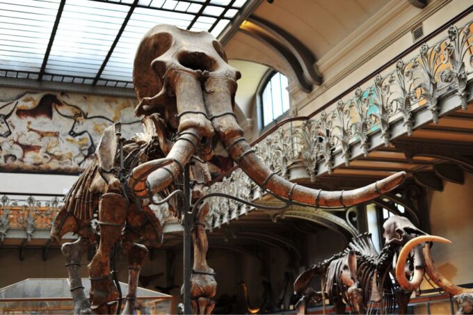 Paris: Private Family Tour, Highlights and Museum Visit - Louvre Museum Tour
