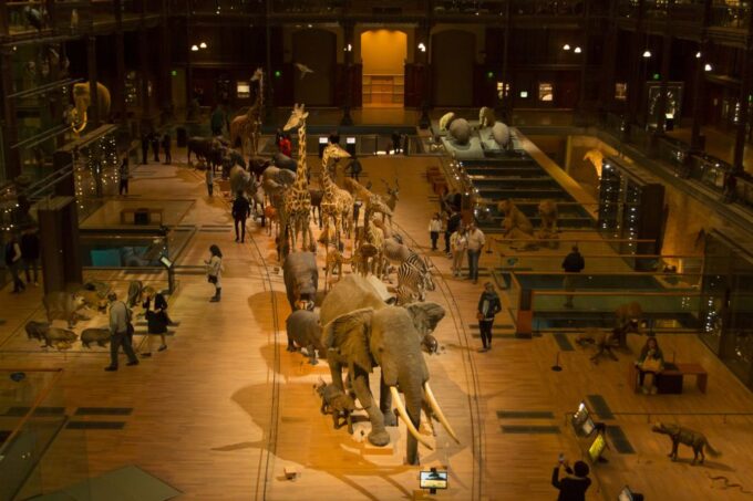 Paris: Private Family Tour, Highlights and Museum Visit - Frequently Asked Questions