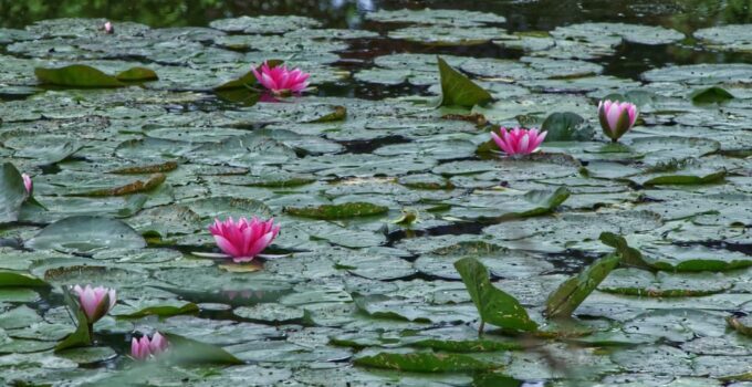 Paris: Private Round-Trip Transfer to Giverny - Frequently Asked Questions