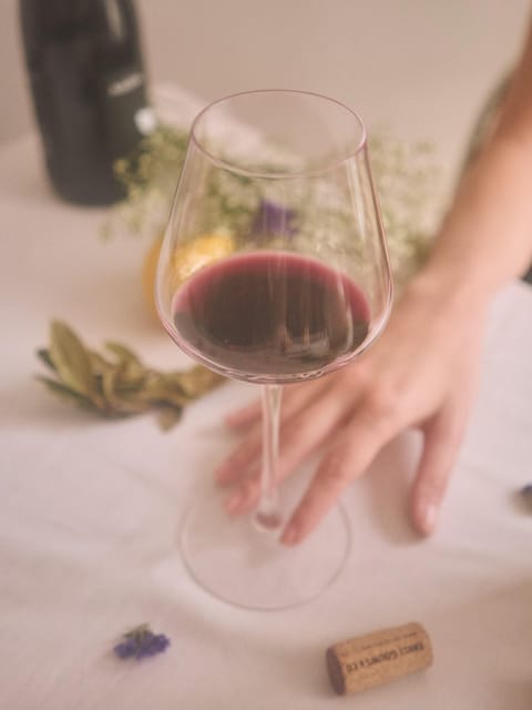 Paris: Private Wine Tasting in a Luxury Lounge in Paris - Pricing and Booking