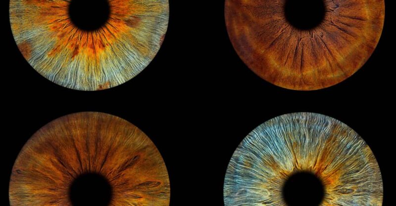 Paris: Professional Iris Photography With a Framed Print - Key Points