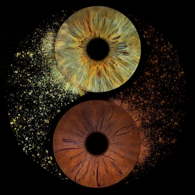 Paris: Professional Iris Photography With a Framed Print - Photography Experience