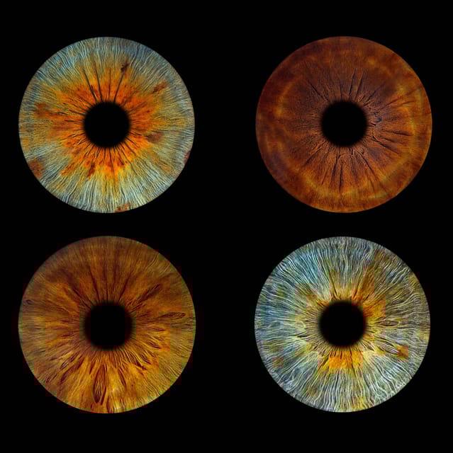 Paris: Professional Iris Photography With a Framed Print - Printing and Framing Options