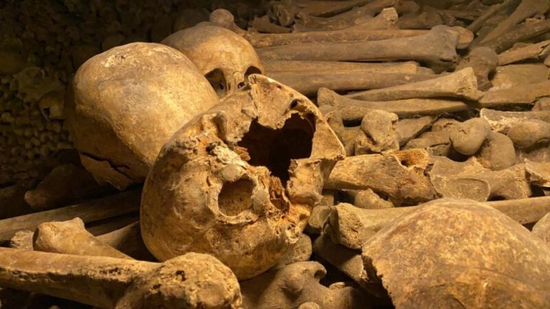 Paris: Small-Group Catacombs Tour With Skip-The-Line Entry - Exclusive Access to Restricted Areas