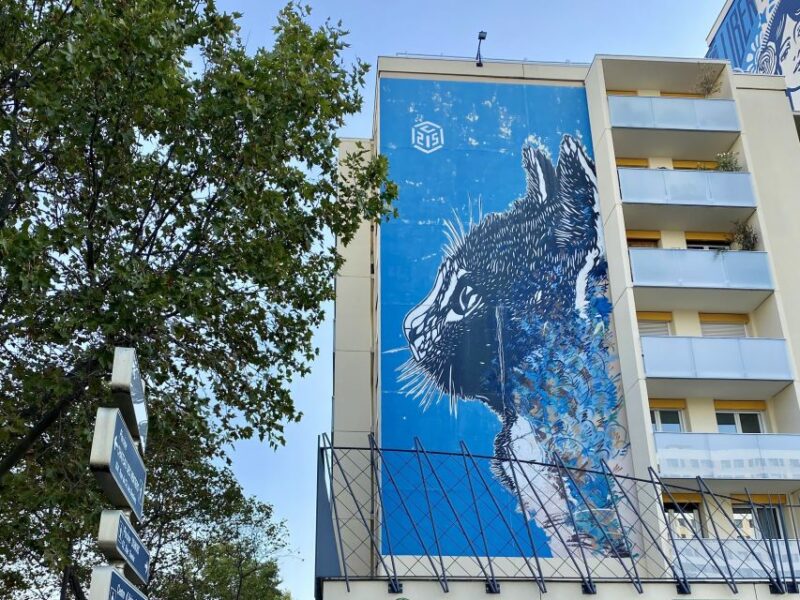 Paris: Street Art Smartphone Audio-Guided Tour - Inclusions