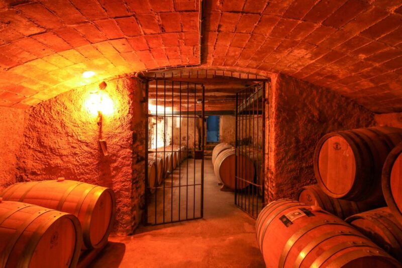 Paris: Two Reims Champagne Vineyards With Tastings and Lunch - Just The Basics