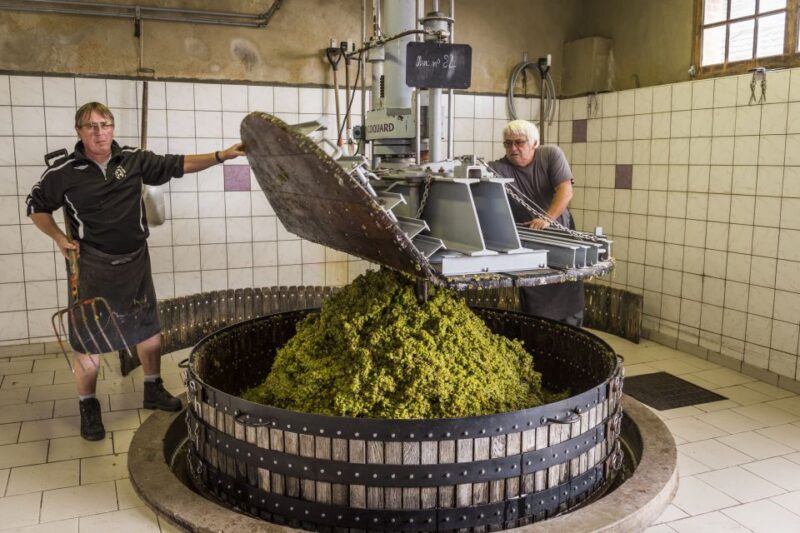 Paris: Two Reims Champagne Vineyards With Tastings and Lunch - Champagne Tastings at the Wineries