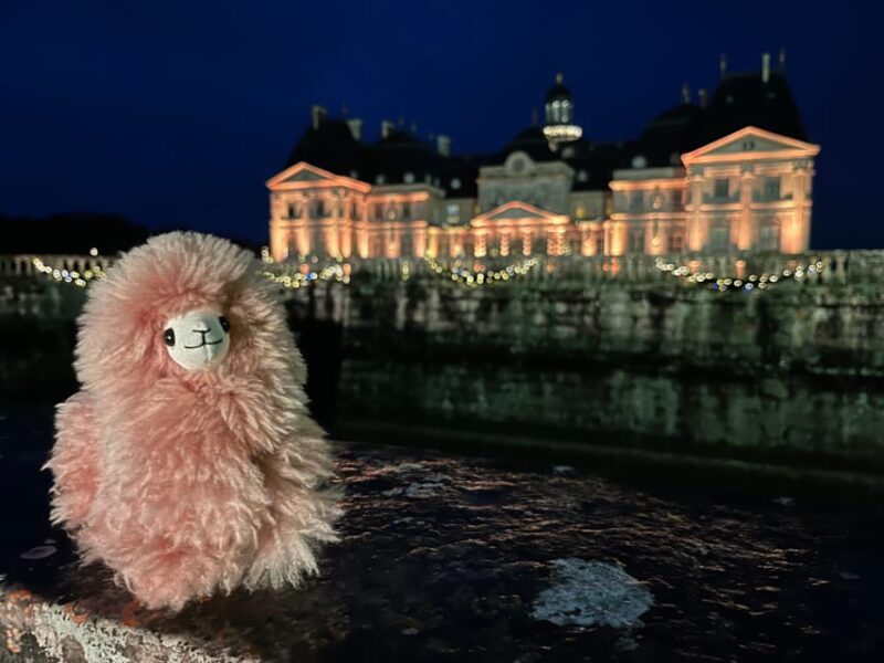 Paris: Vaux-le-Vicomte Private Guided Tour - Exploring the Chateaus Fascinating History