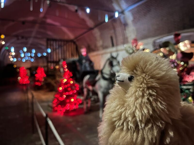 Paris: Vaux-le-Vicomte Private Guided Tour - Experiencing the Festive Atmosphere