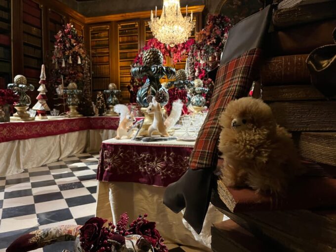 Paris: Vaux-le-Vicomte Private Guided Tour - Navigating the Accessibility and Transportation